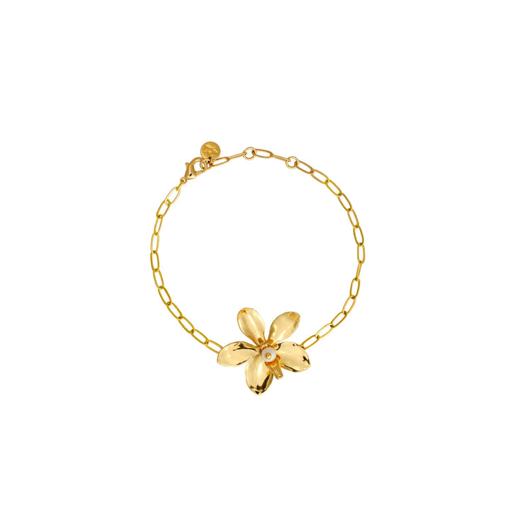 Risis Aeridovanda Blooms Bracelet - A golden bracelet with a delicate, polished flower charm at the center, accented by a small gemstone, against an isolated background.