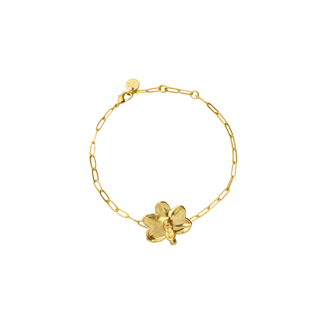 RISIS Bracelet, Natural Petite Ascocenda Orchid encapsulated in 24K Swiss Gold