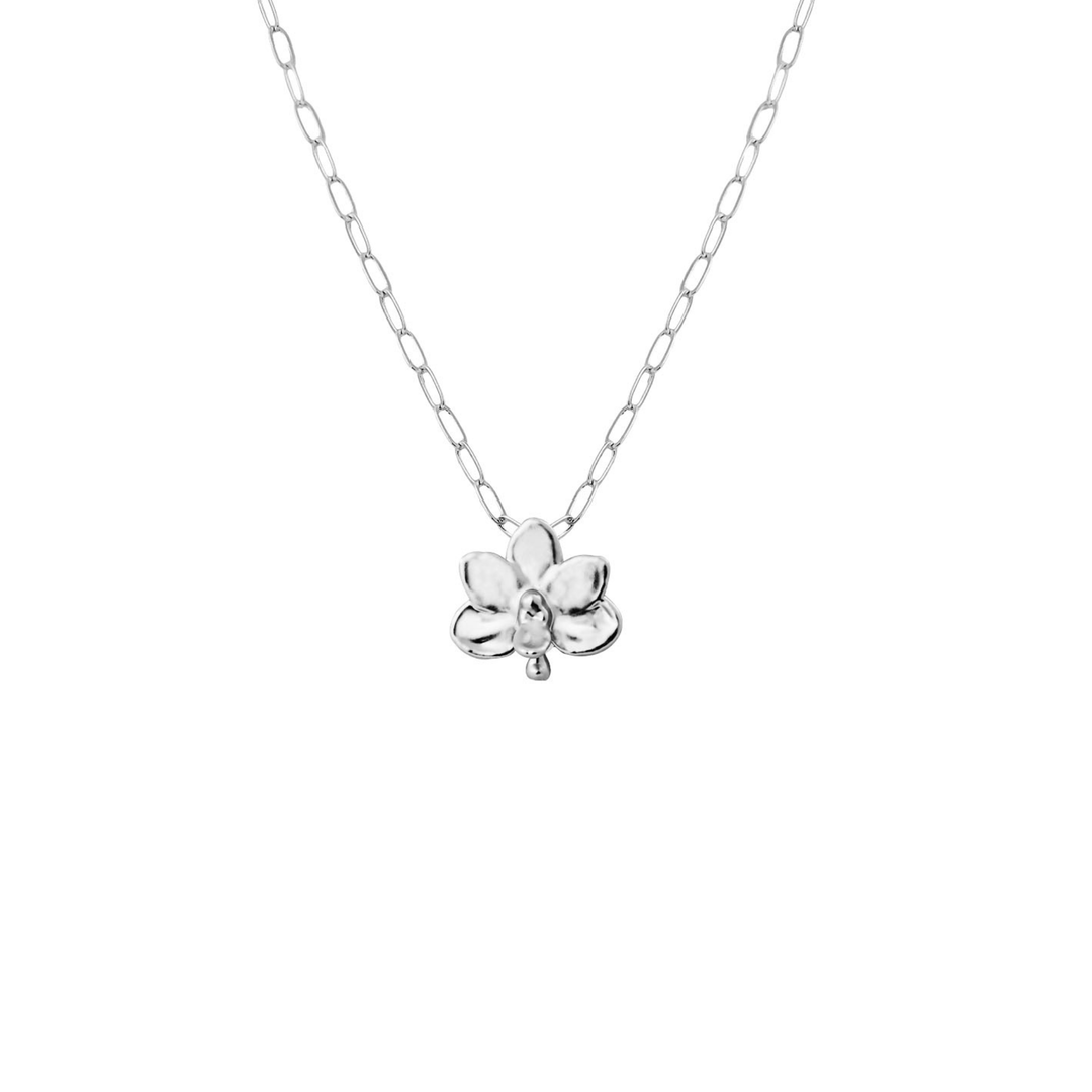 RISIS Necklace Natural Petite Ascocenda Orchid encapsulated in Palladium