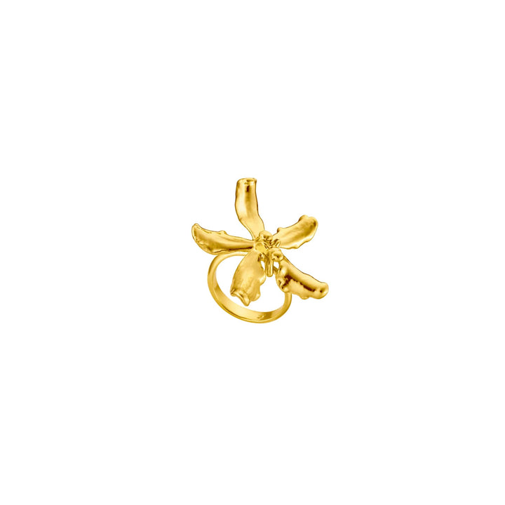 Risis Renanthanda Sawadi Orchid Ring (G) - A golden ring featuring an ornate banana bunch design with detailed textures on the fruits and stems, displaying a glossy finish.
