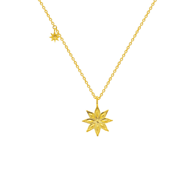 RISIS Starry Anise Gold Necklace, 925 Silver encapsulated in 18K Gold with Cubic Zirconia.