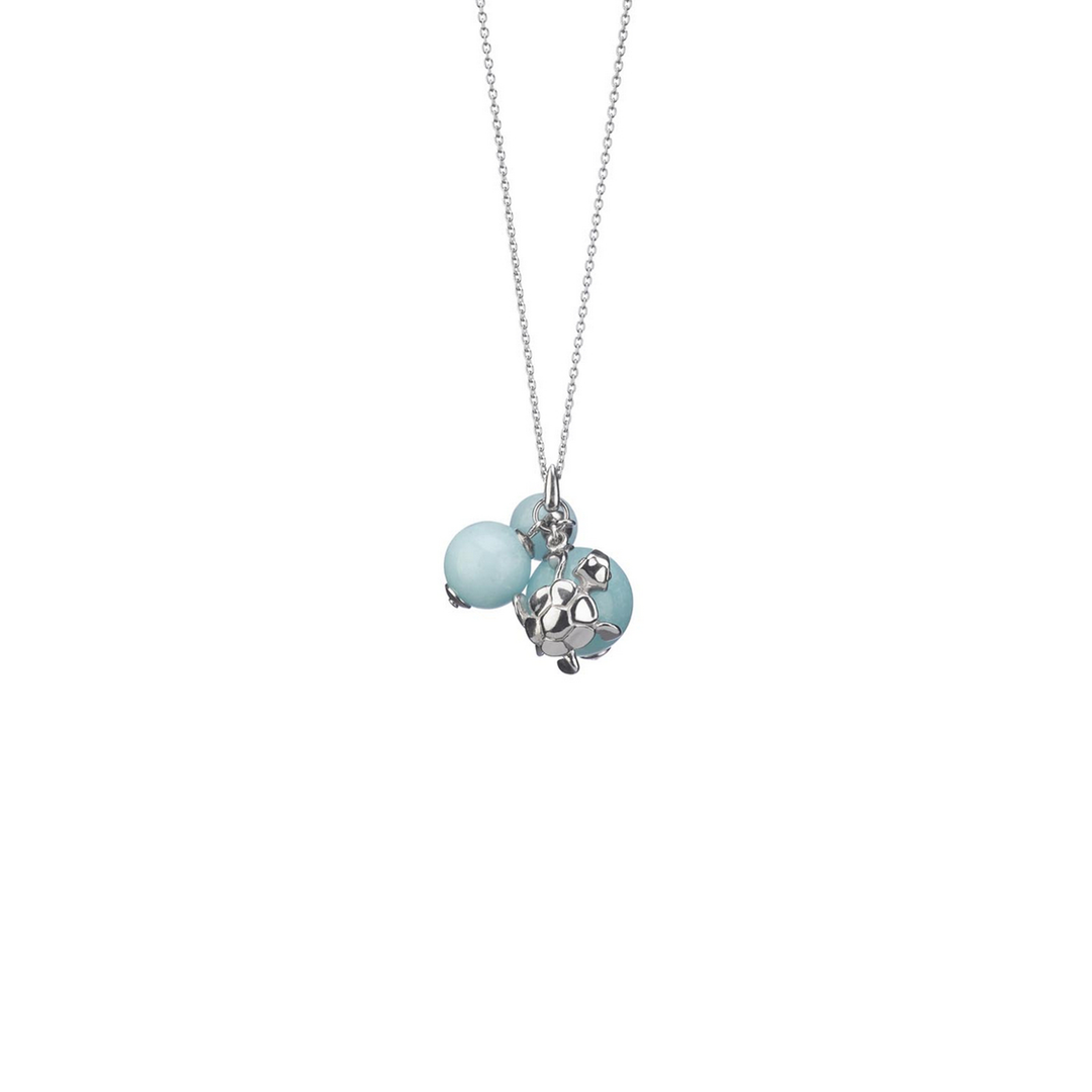 Pond Turtle Necklace