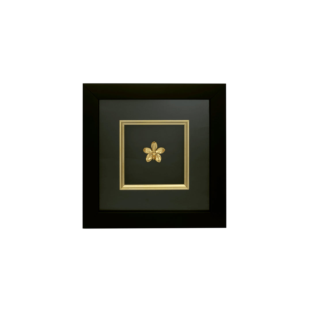 Aeridovanda Vieng Ping Orchid Frame