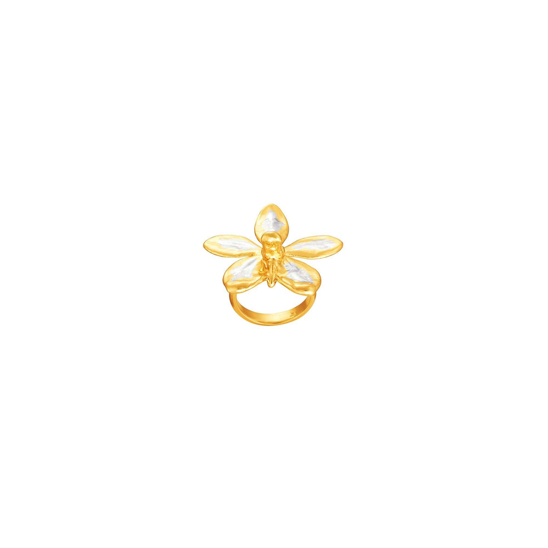 Risis Aeridovanda Vieng Ping Orchid Ring (PG) - A golden ring with an intricately crafted bee atop, featuring translucent wings and a polished finish; it exudes elegance and delicacy.