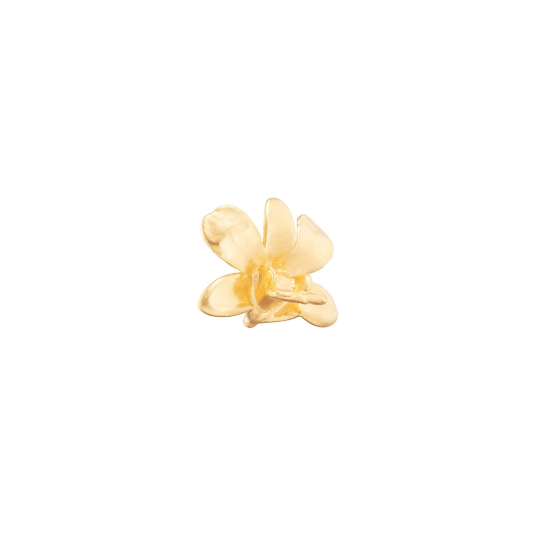 Risis Dendrobium Thong Chai Orchid Brooch/Pendant (G) - A delicate gold-colored flower-shaped jewelry piece with subtly translucent and glossy petals, capturing an essence of elegance and simplicity.