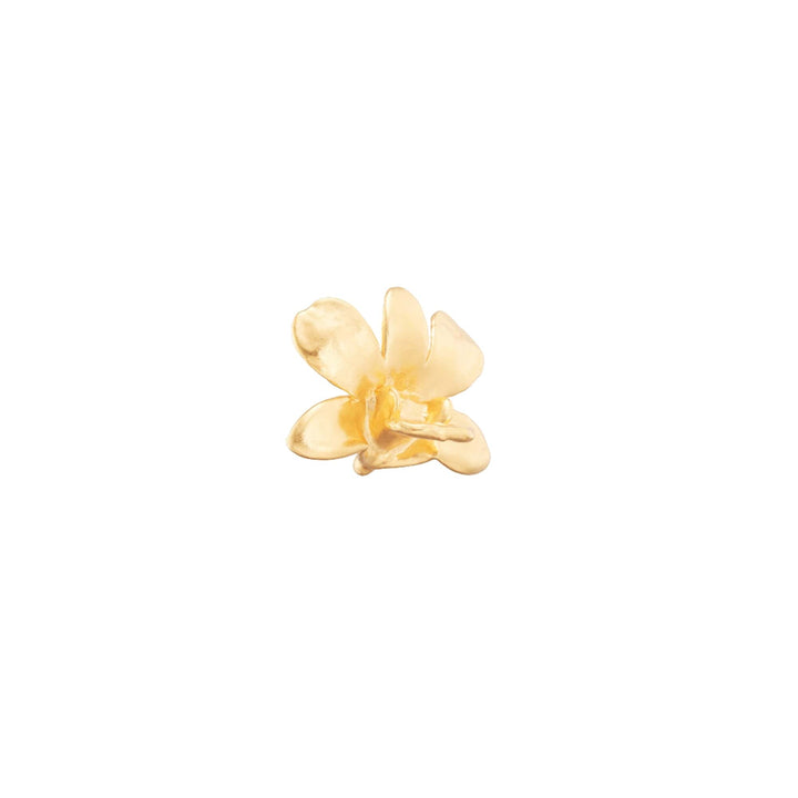 Risis Dendrobium Thong Chai Orchid Brooch/Pendant (G) - A delicate gold-colored flower-shaped jewelry piece with subtly translucent and glossy petals, capturing an essence of elegance and simplicity.