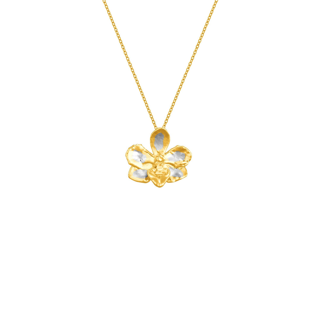 Risis Doritaenopsis Pulcherima Orchid Necklace (PG) - A golden necklace with a five-petaled, polished flower pendant exhibiting a lustrous sheen, with a central swirl detail, suspended on a delicate chain.