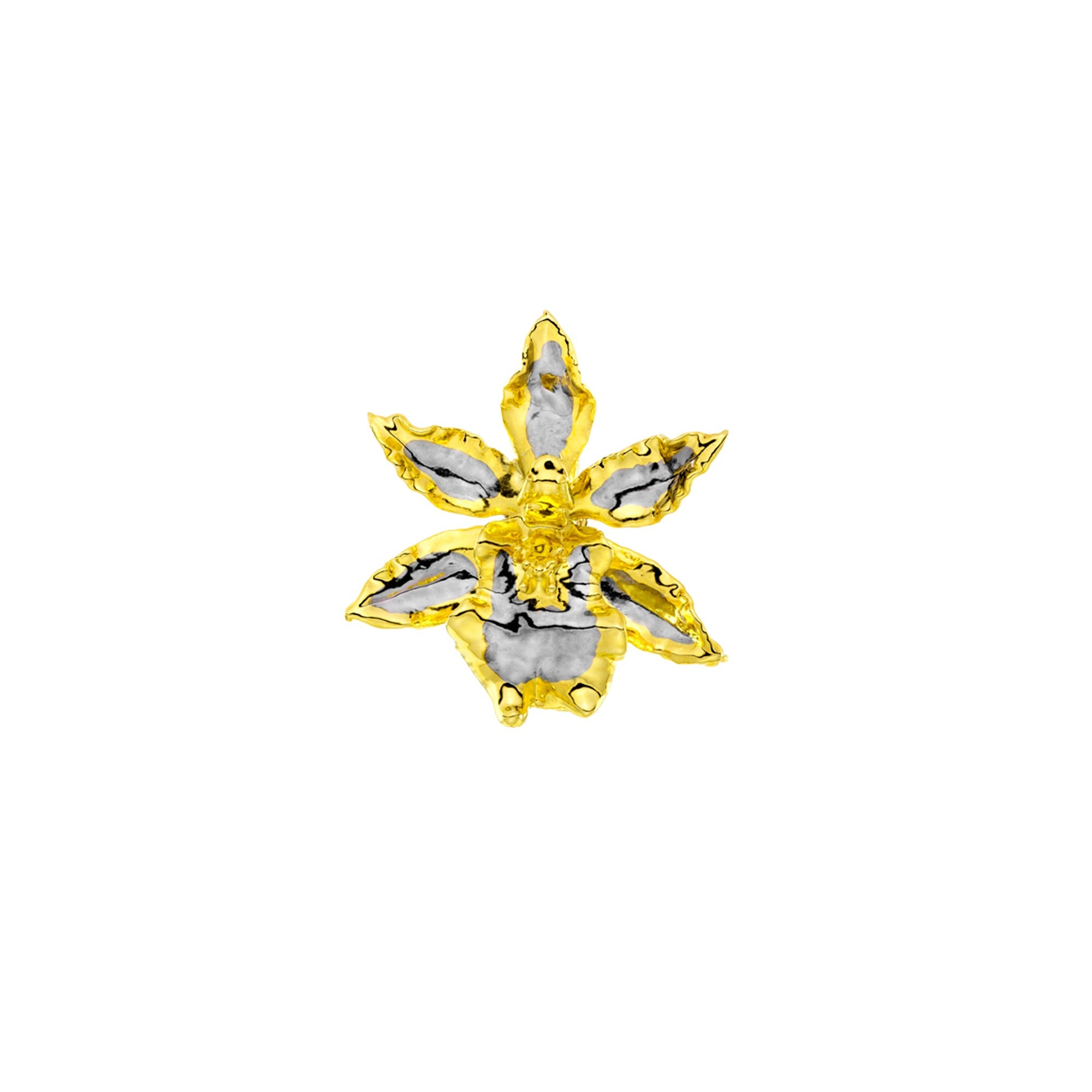 Oncidium Wildcat Orchid Brooch/Pendant (PG) - RISIS