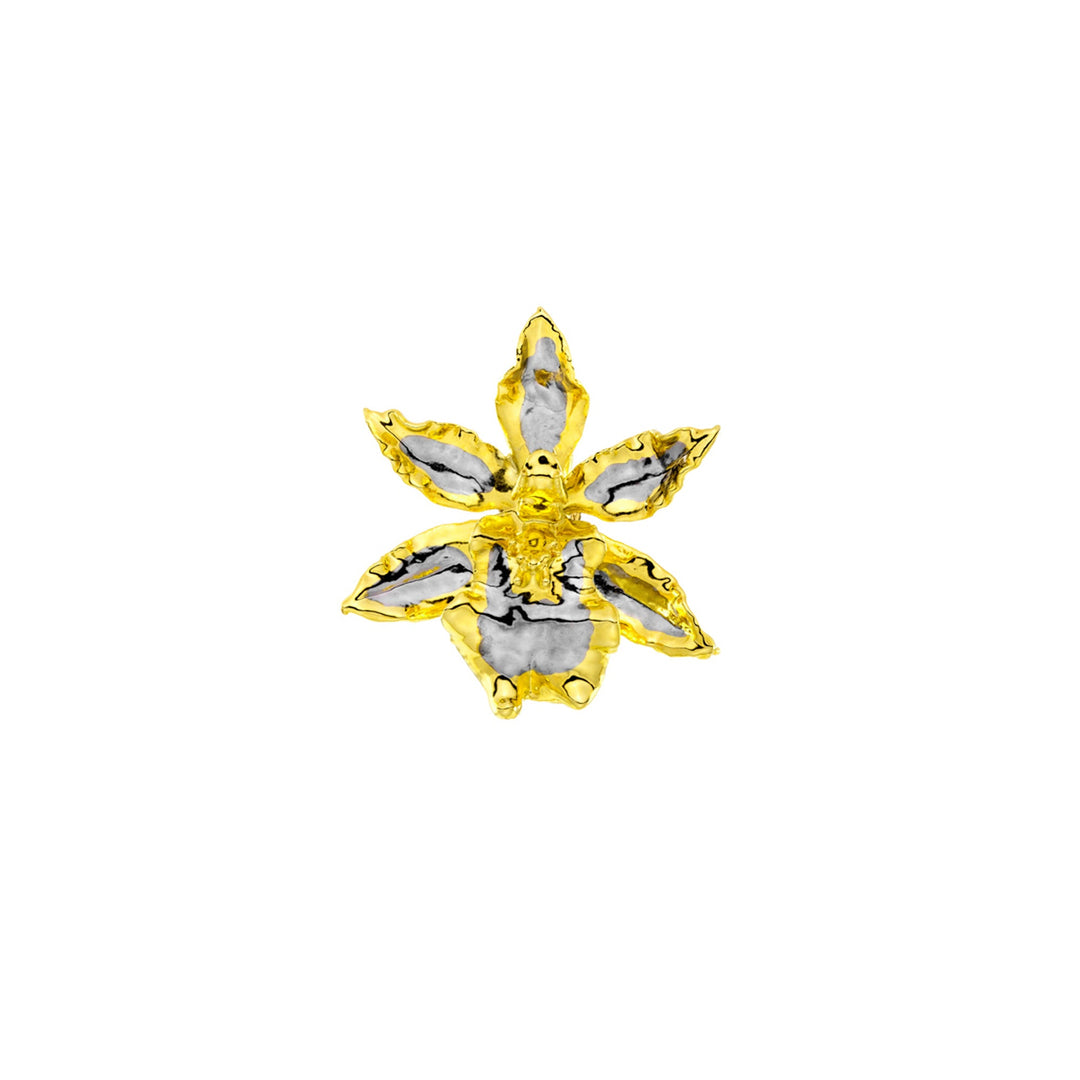 Risis Oncidium Wildcat Orchid Brooch/Pendant (PG) - A yellow and white flower-shaped brooch with a gold-tone outlining and silver-tone petals centers, radiating an elegant and ornate appearance.