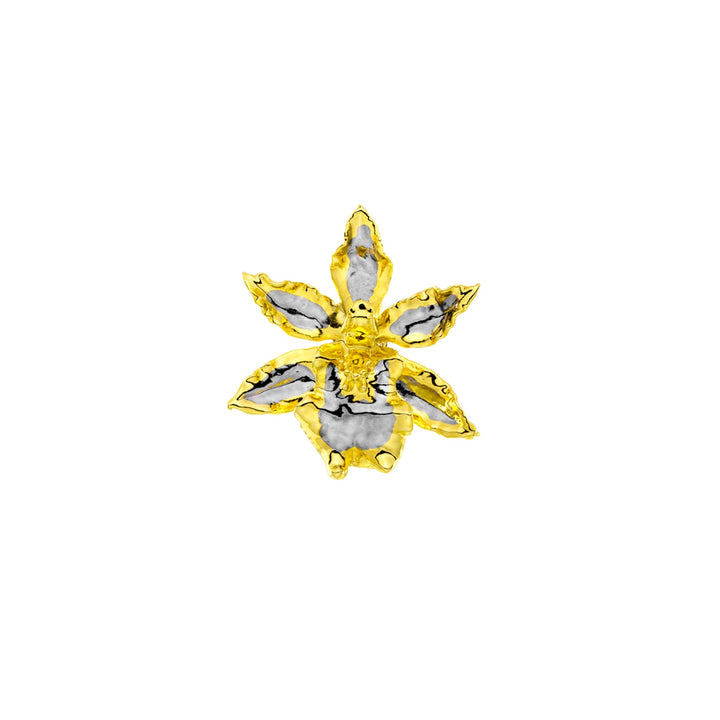 Risis Oncidium Wildcat Orchid Brooch/Pendant (PG) - A yellow and white flower-shaped brooch with a gold-tone outlining and silver-tone petals centers, radiating an elegant and ornate appearance.