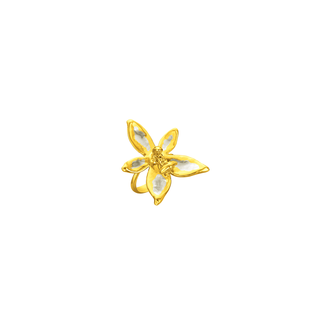 Risis Phalaenopsis Blossom Ring - A golden ring with an ornate, flower-shaped setting featuring shimmering white petals and a polished finish, exuding elegance and sophistication.