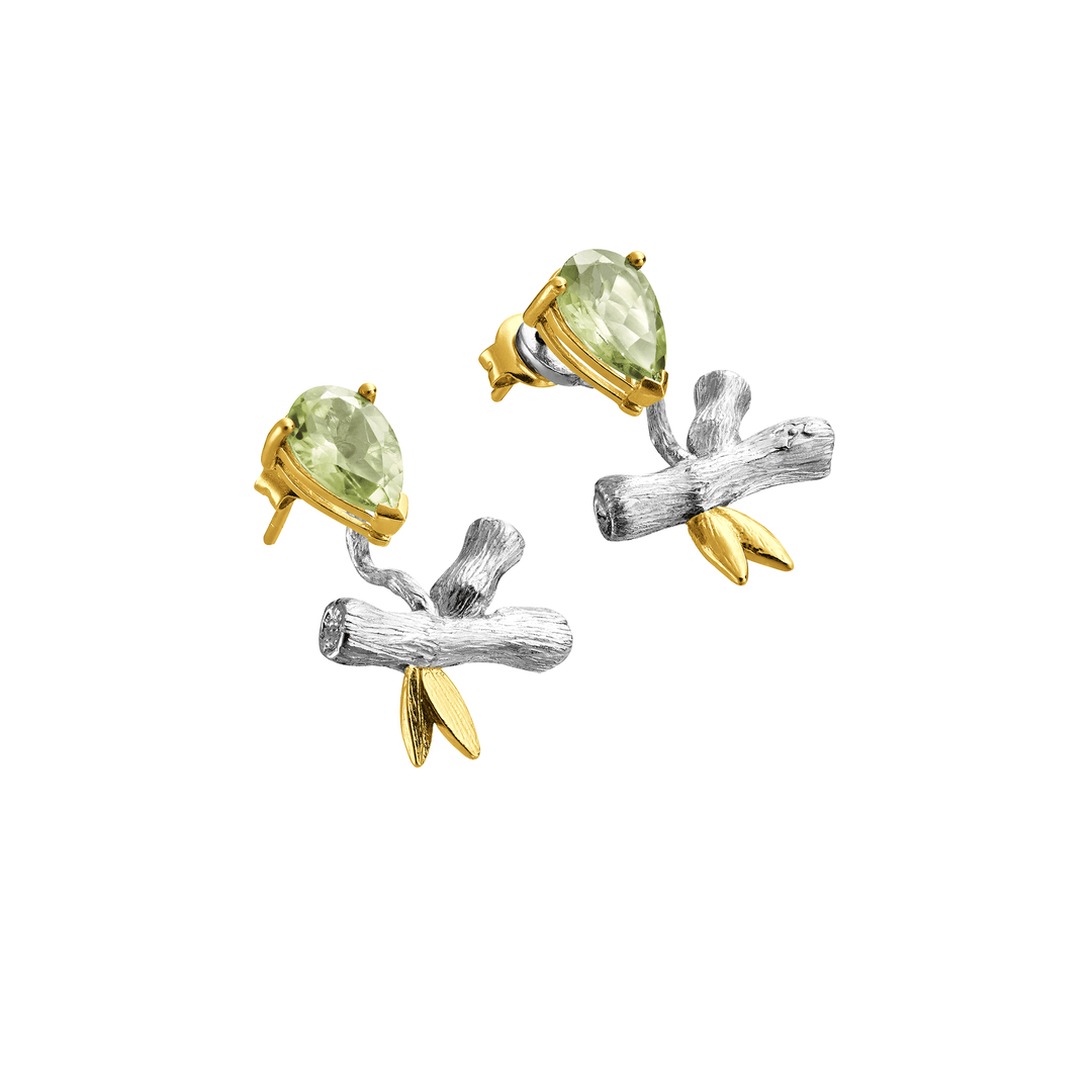 Bamboo Collection