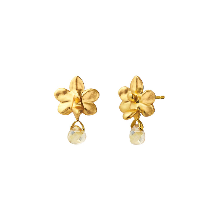 RISIS Vandaenopsis Orchid Earrings In 24K Gold with Citrine