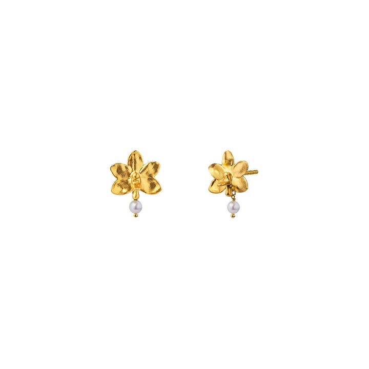 Ascocenda Bloomlet Earrings In Gold with Pearls