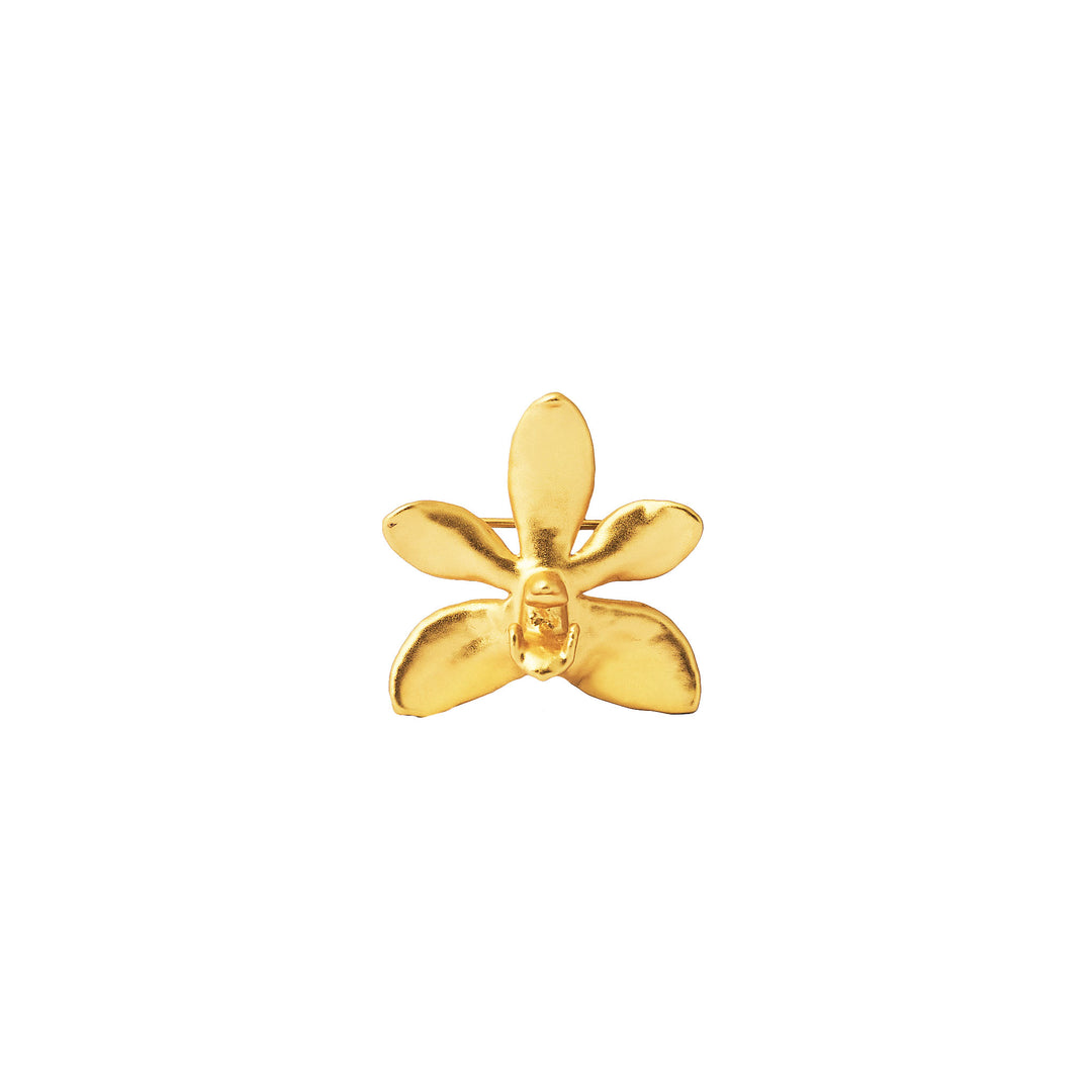 RISIS Doritaenopsis Summer Red Natural Orchid Brooch/Pendant, encapsulated in 24K Swiss Gold