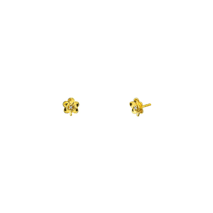 Beaded Ascocenda II Edition Earrings