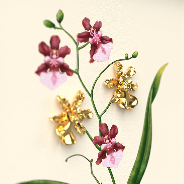 RISIS Designer Frame - Natural Oncidium Sharry Baby Orchid encapsulated in 24K Swiss Gold