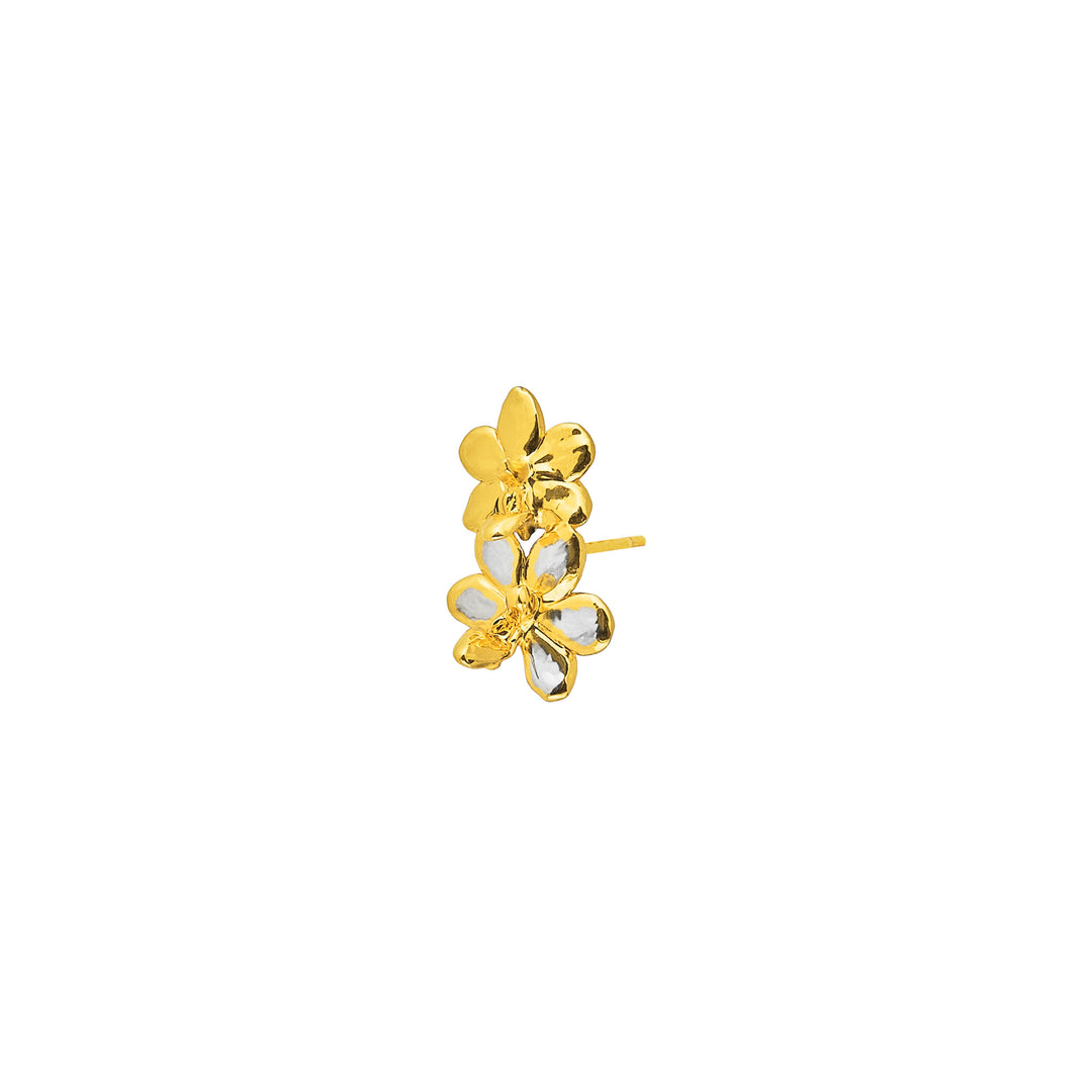 RISIS Doritaenopsis Orchid Climber Earring, Natural Doritaenopsis Pulcherima Orchid encapsulated in 24K Swiss Gold and Palladium