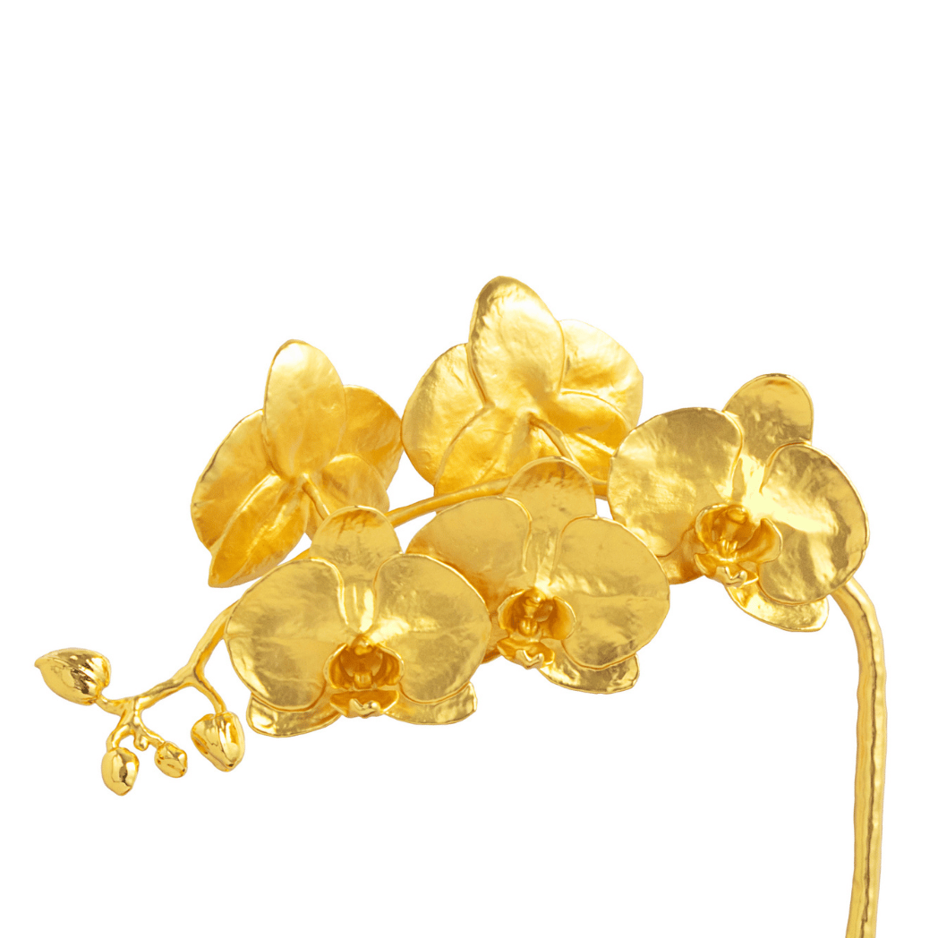 RISIS Natural Phalaenopsis Amabilis Orchid in 24K Gold & Palladium
