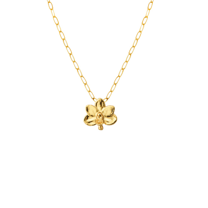 RISIS Necklace, Natural Petite Ascocenda Orchid encapsulated in 24K Swiss Gold
