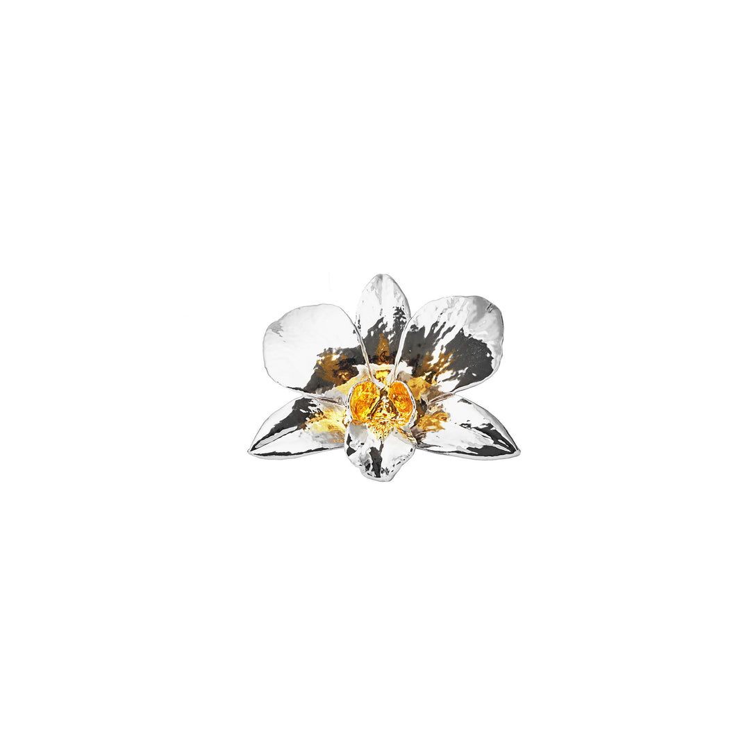 RISIS SG60 Bold Dendrobium Orchid Brooch, Natural Orchid Encapsulated In 24K Swiss Gold And Palladium