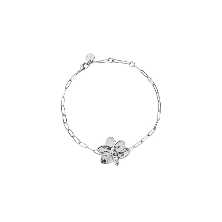 RISIS Silver Bracelet, Natural Petite Ascocenda Orchid encapsulated in Palladium