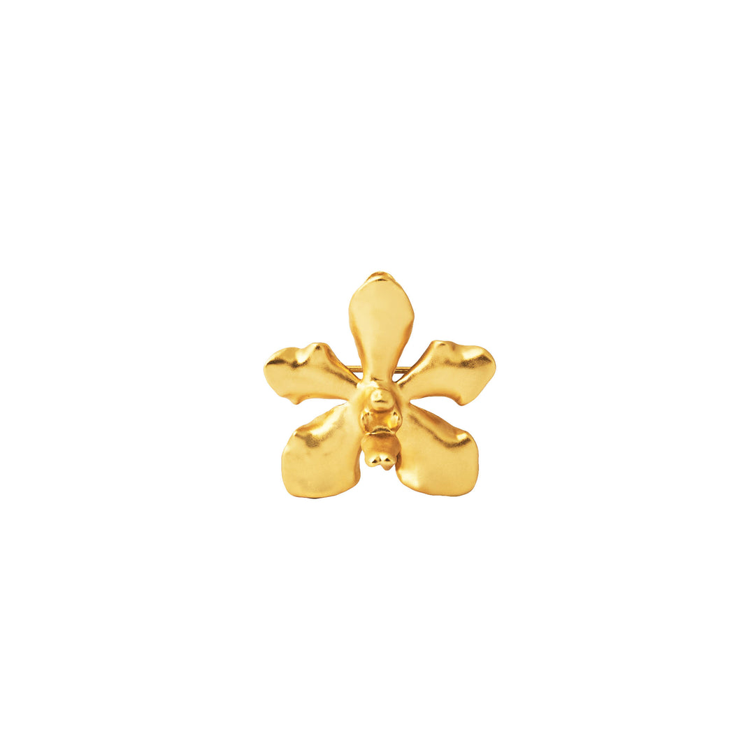 RISIS Vanda Limbata Orchid Brooch/Pendant (G) - Natural Vanda Limbata orchid Encapsulated in 24K Swiss Gold.