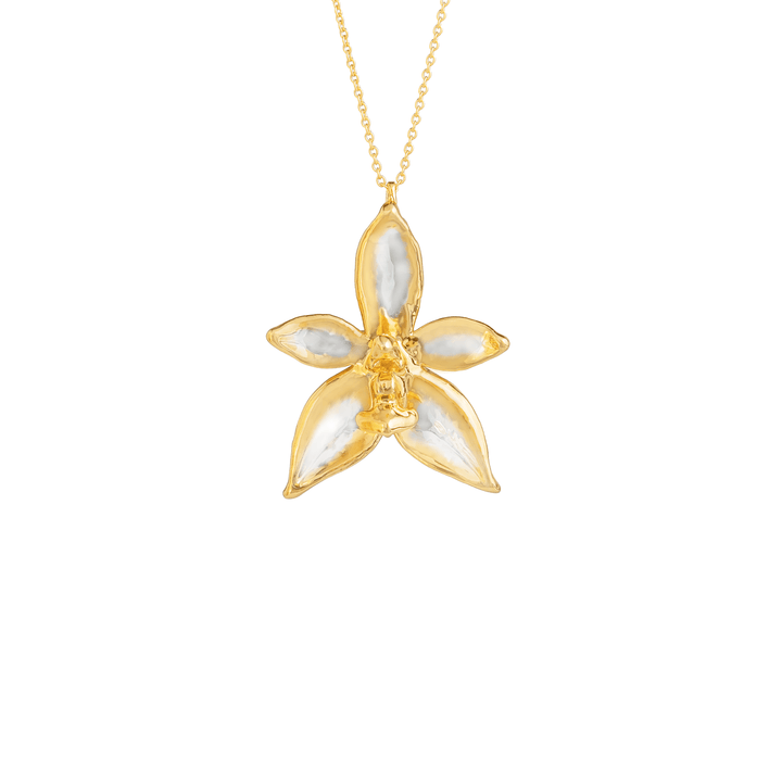Risis Phalaenopsis Cornu Cervi Orchid Necklace (PG) - A necklace with a gold chain features a pendant shaped like a five-petaled flower, crafted with golden edges and pearlescent white inlays.