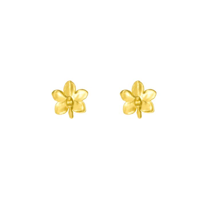 Ascocenda Sagarik Gold Orchid Earrings (G) - - RISIS