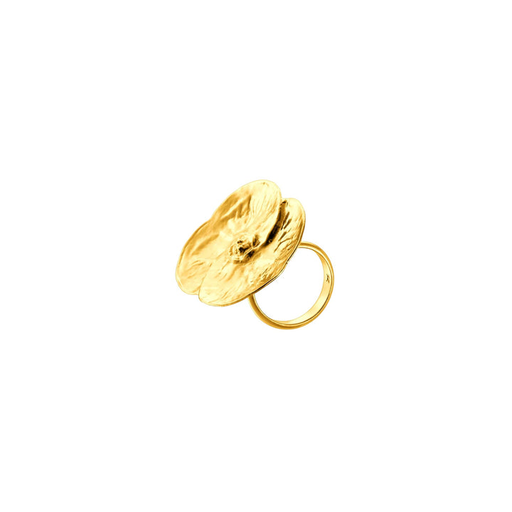 Promesse Ring (G) - - RISIS