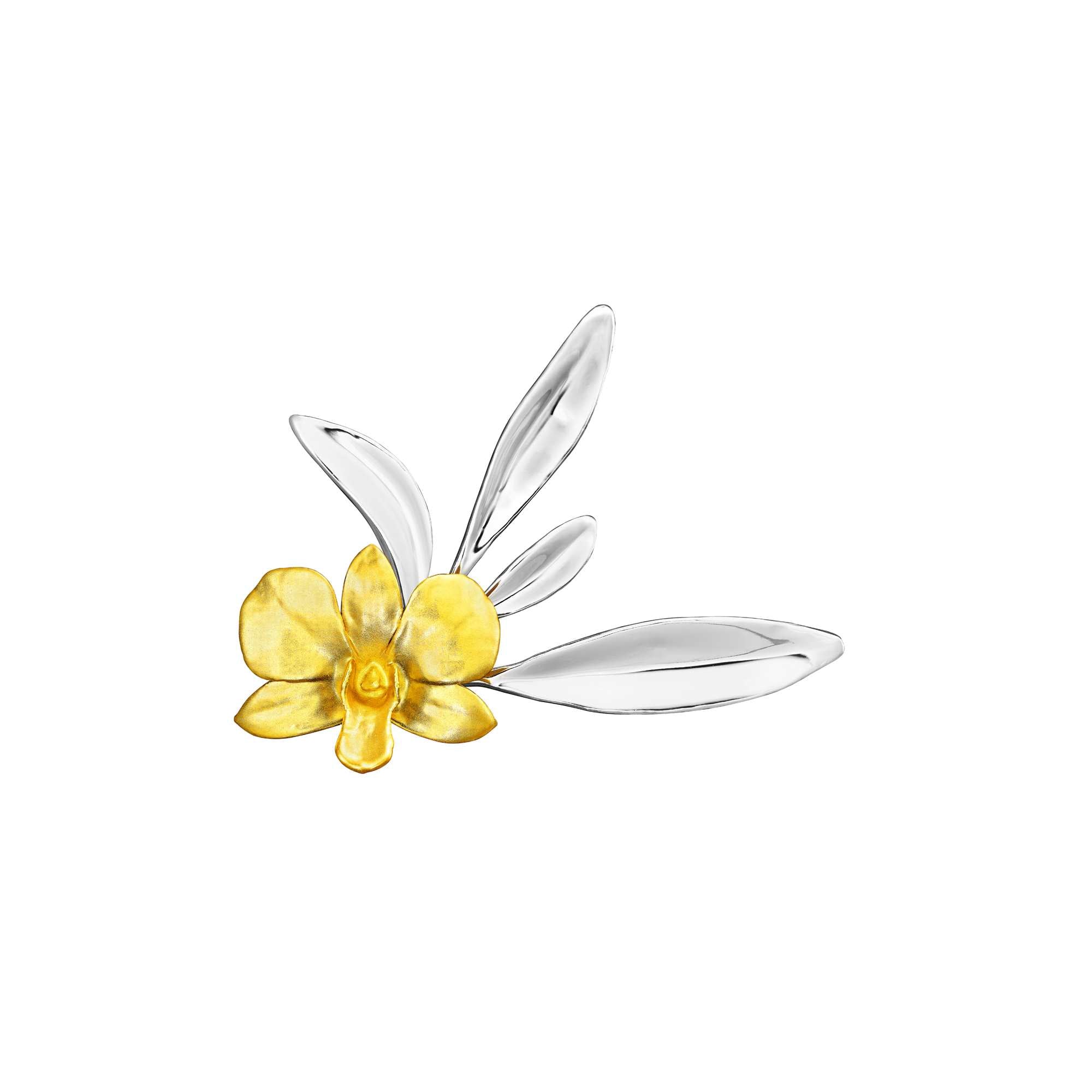 Dendrobium Merry Island Orchid Cardholder