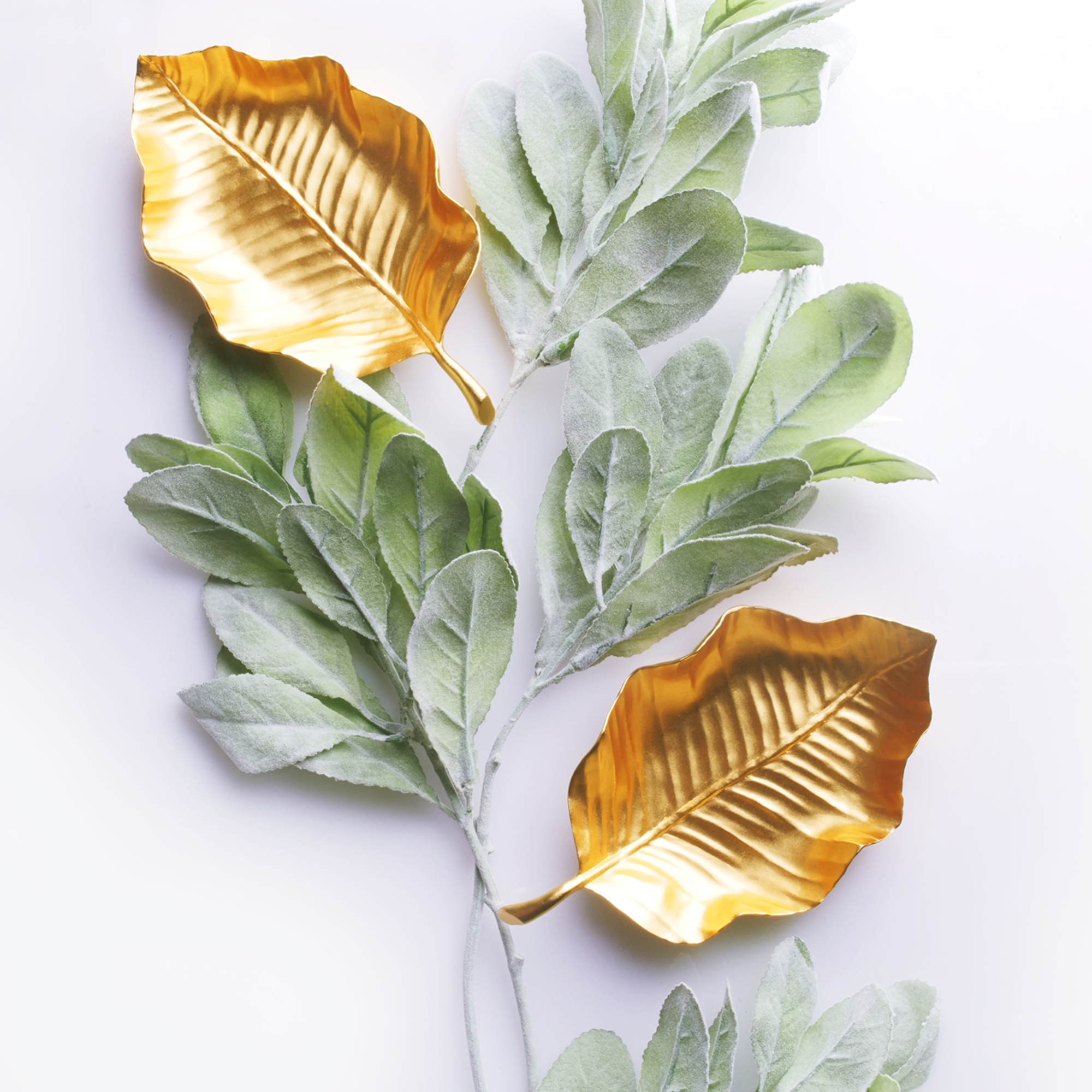 Tropical Leaf Tray